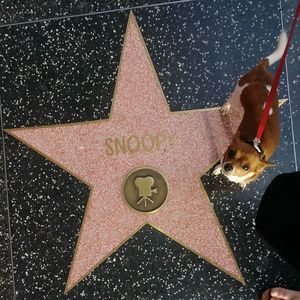 Meet your Posher, Mindy